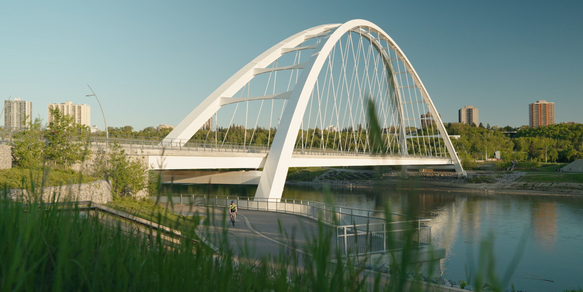 Image Showcase Image