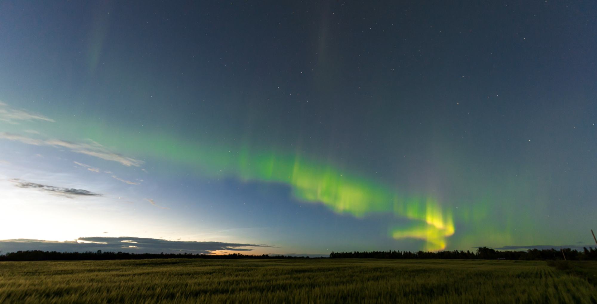 Image Showcase Image